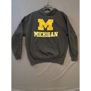 Michigan Wolverines Hoodie Mens Large Gray Hooded‎ Pullover Sweatshirt